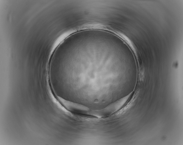 X0000090771389200707201430