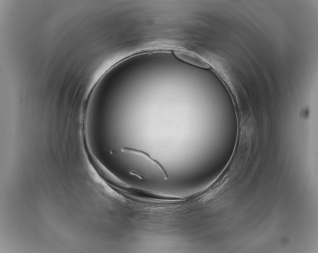 X0000090771390200707201429