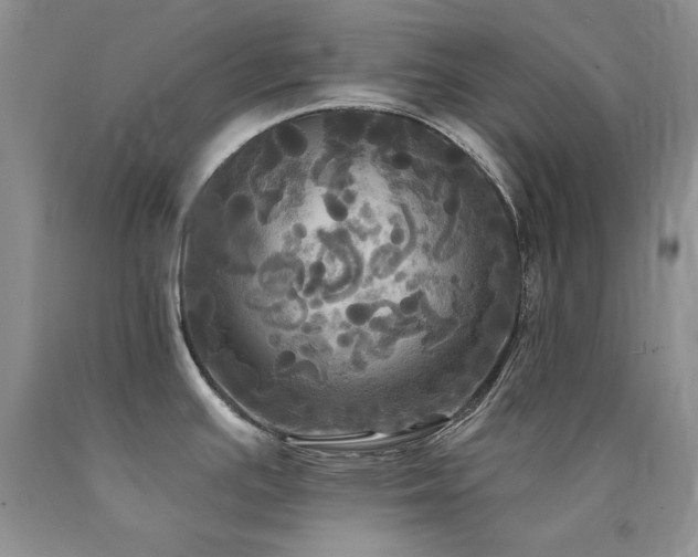 X0000090771391200707201429