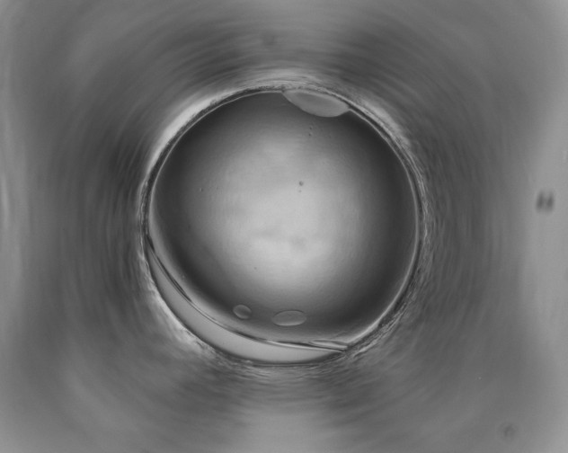 X0000090771392200707201429