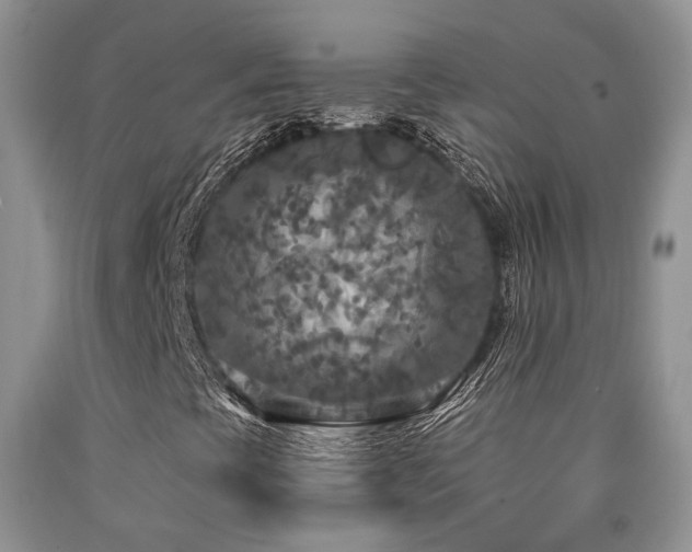 X0000090771393200707201429