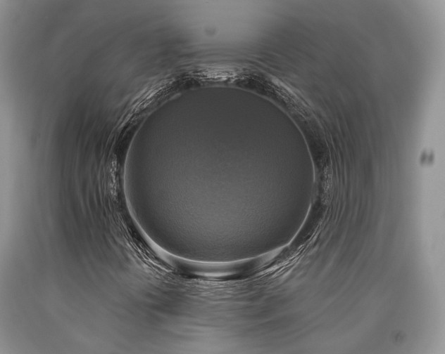 X0000090771394200707201429