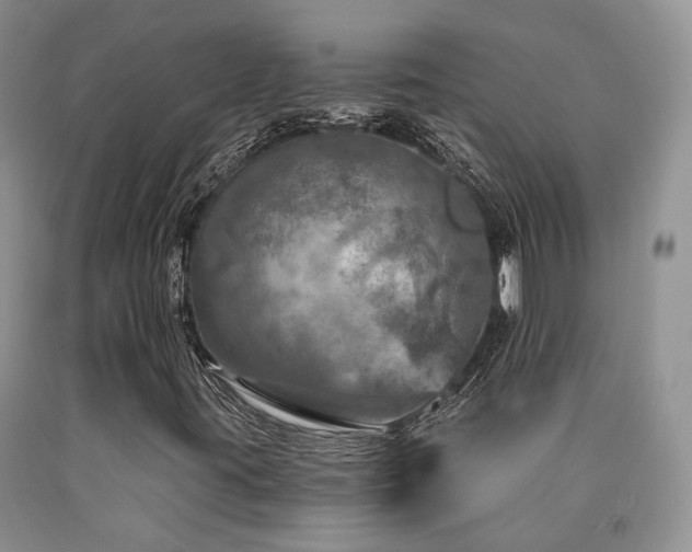 X0000090771395200707201429