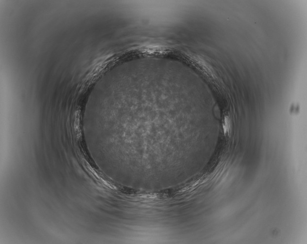 X0000090771396200707201429