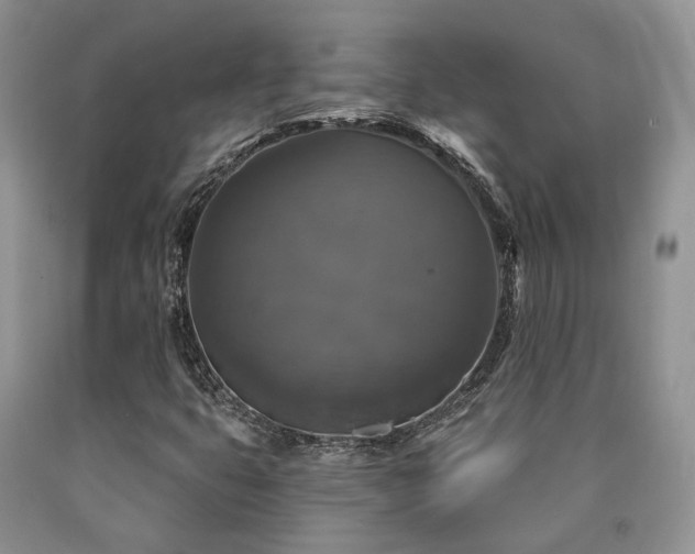 X0000090771399200707201429