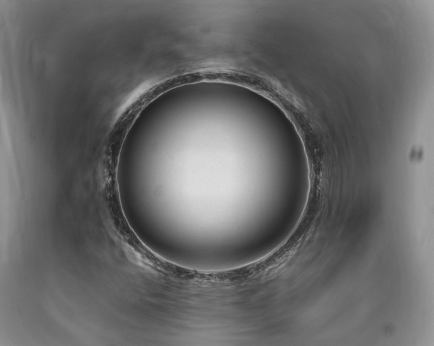 X0000090771400200707201429
