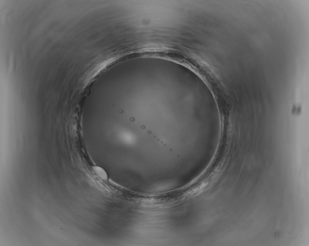 X0000090771401200707201429