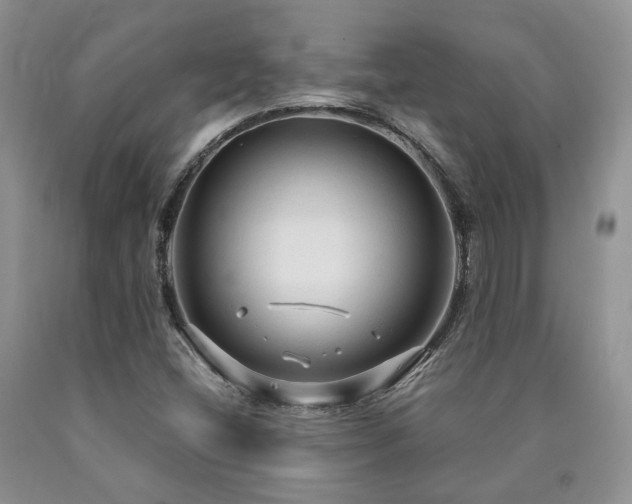 X0000090771404200707201429