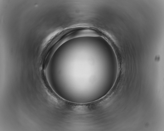 X0000090771406200707201429