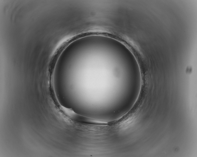 X0000090771408200707201429