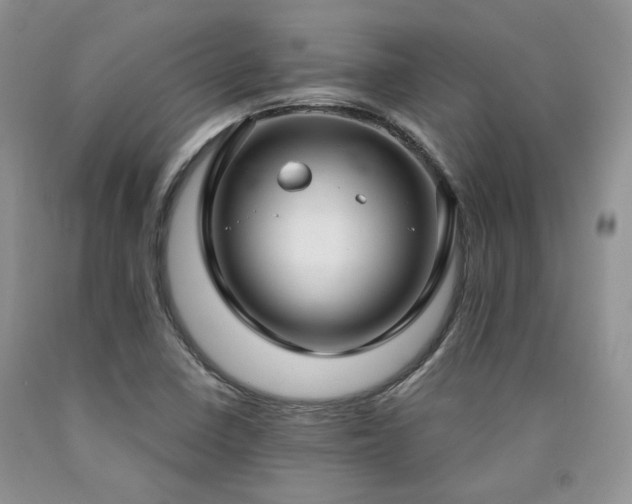 X0000090771410200707201429