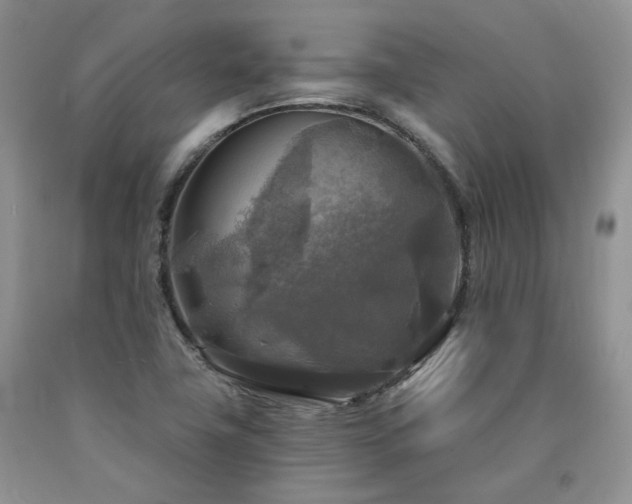 X0000090771411200707201429
