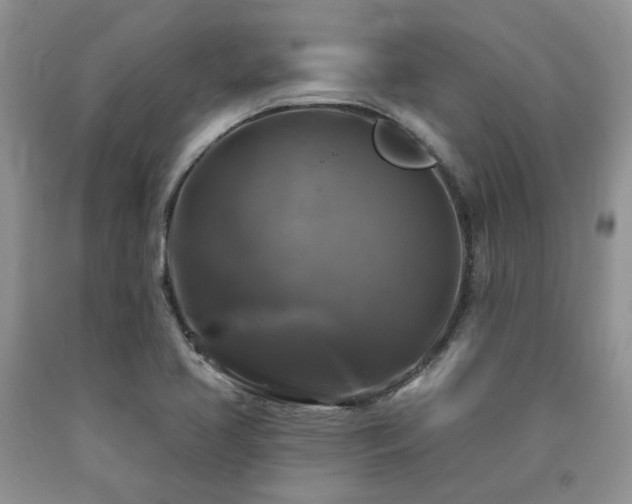 X0000090771413200707201429