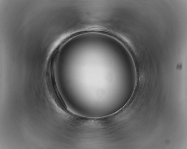 X0000090771414200707201429