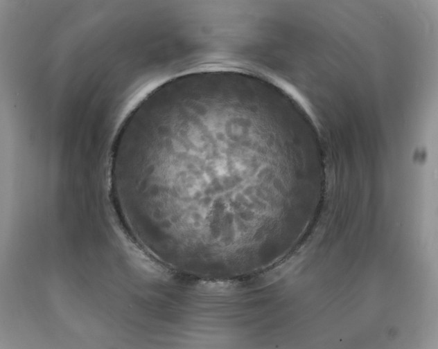 X0000090771415200707201429