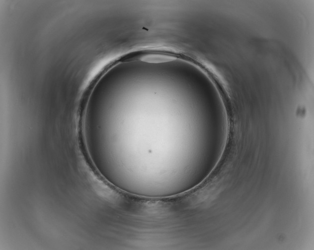 X0000090771416200707201429