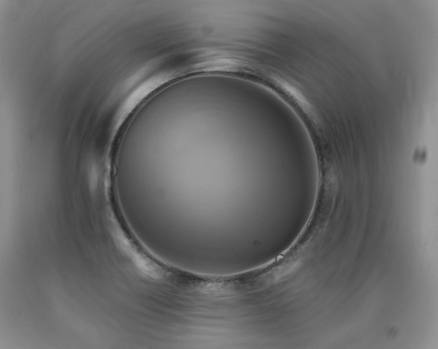 X0000090771418200707201429