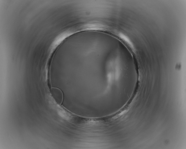 X0000090771419200707201429