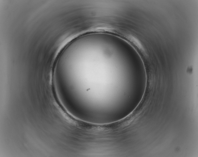 X0000090771420200707201429
