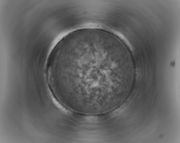 X0000090771421200707201429