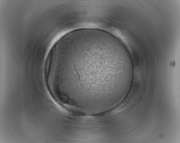 X0000090771424200707201429