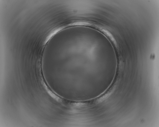 X0000090771425200707201429