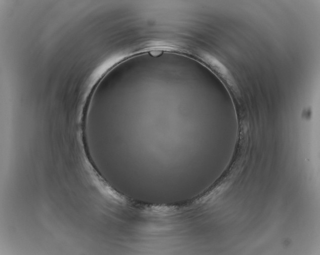 X0000090771427200707201429