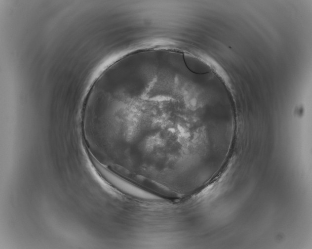 X0000090771429200707201429