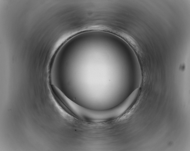X0000090771430200707201429
