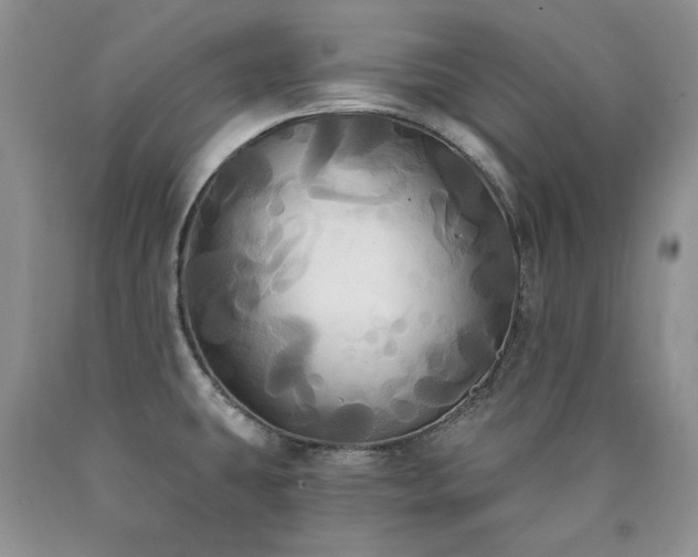 X0000090771431200707201429