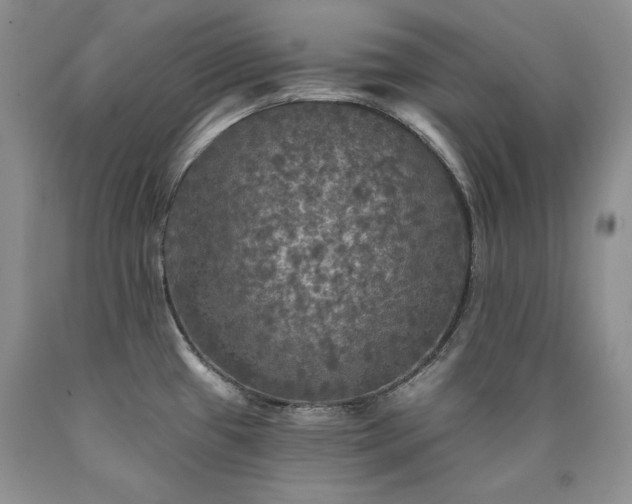 X0000090771433200707201429