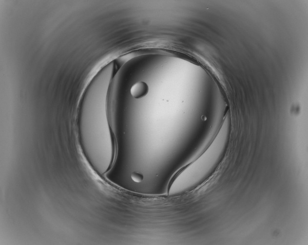 X0000090771434200707201429