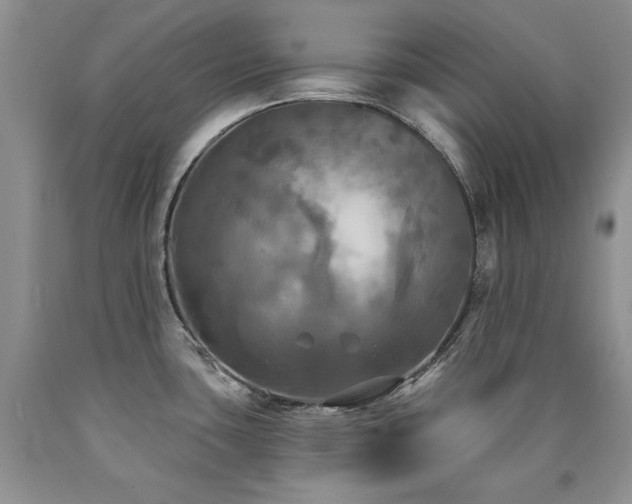 X0000090771435200707201429