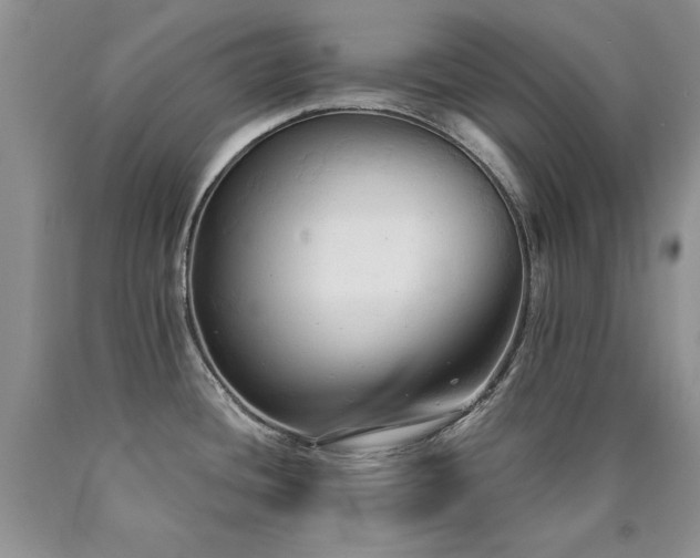X0000090771436200707201429