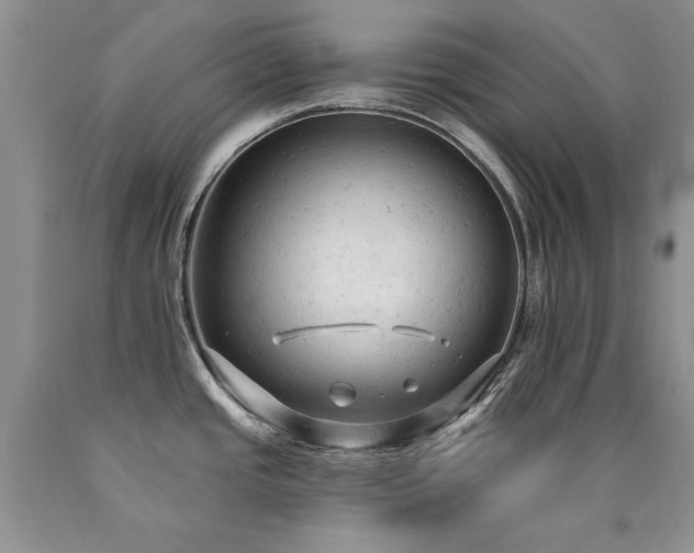 X0000090771437200707201429