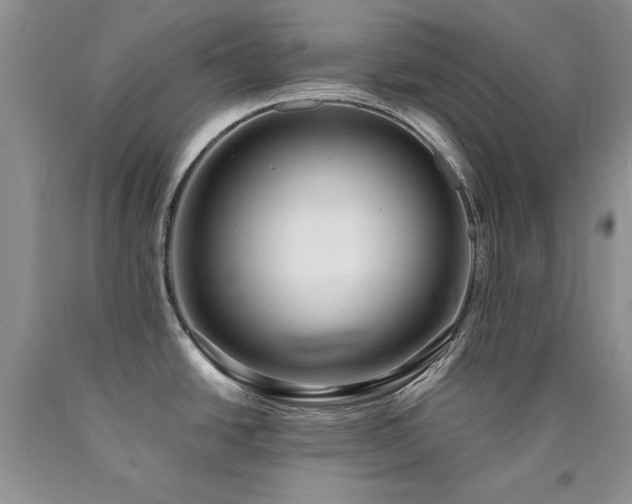X0000090771438200707201429