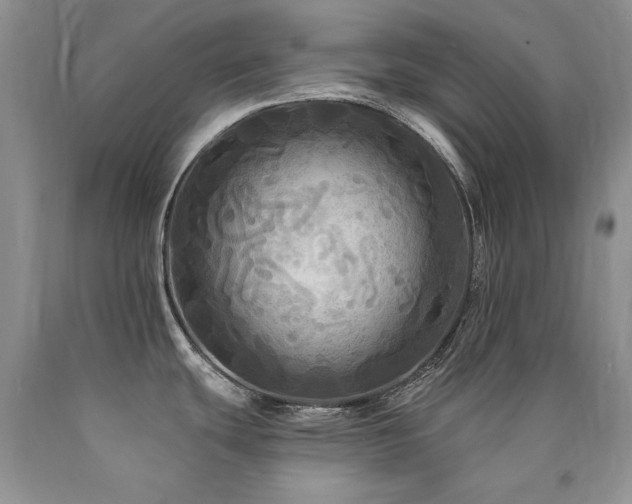 X0000090771439200707201429