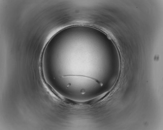 X0000090771440200707201429
