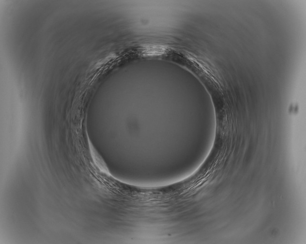X0000090771441200707201429