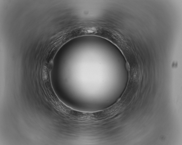 X0000090771442200707201429