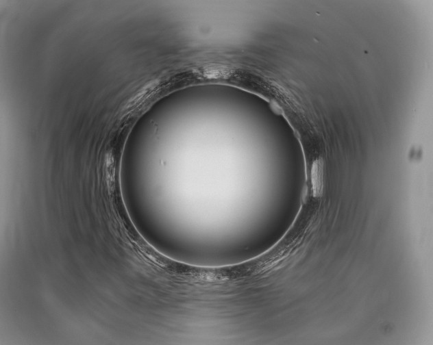X0000090771443200707201429