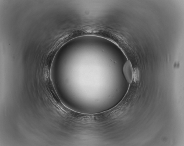 X0000090771444200707201429