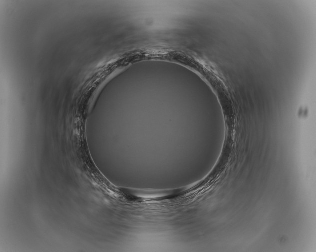X0000090771445200707201429