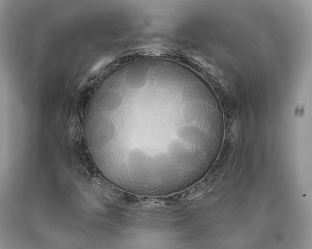 X0000090771446200707201429