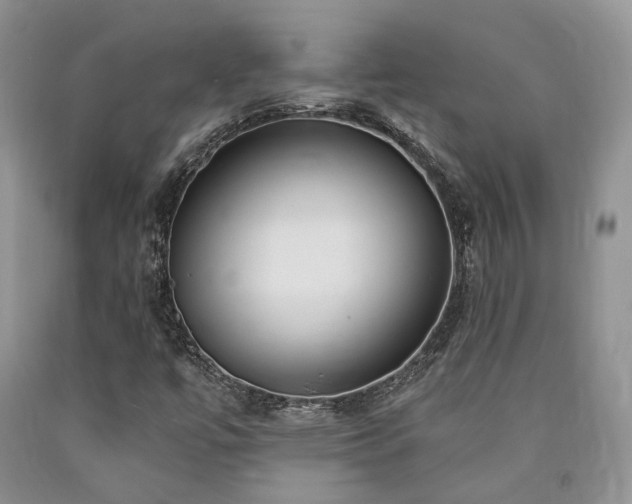 X0000090771447200707201429