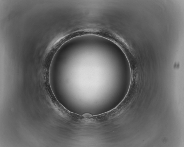 X0000090771448200707201429