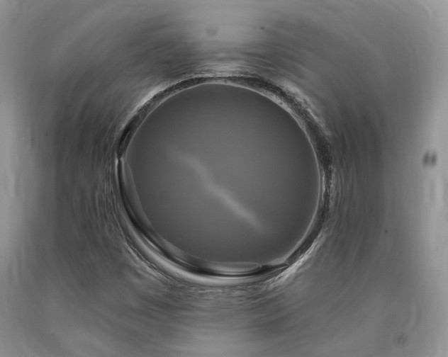 X0000090771449200707201429