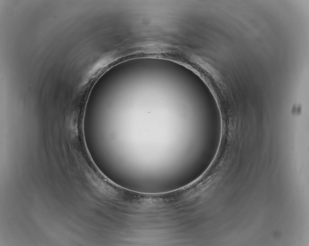 X0000090771451200707201429