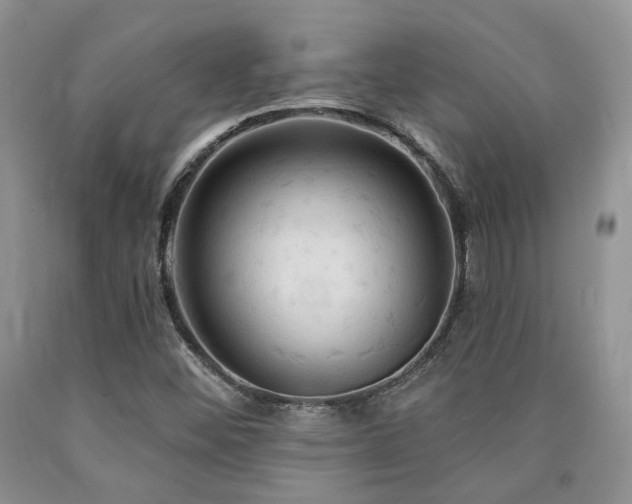 X0000090771452200707201429