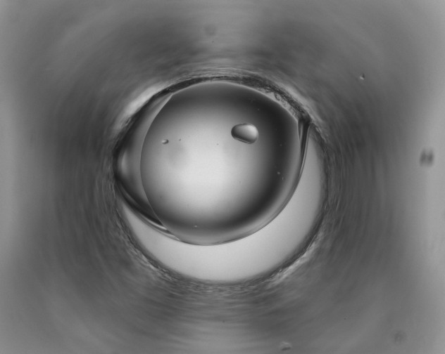 X0000090771453200707201429